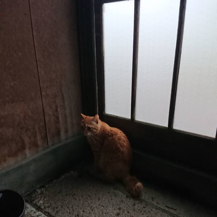 60f6330d 8b11 4a55 8d86 a73213c4f5cb 1658004593087