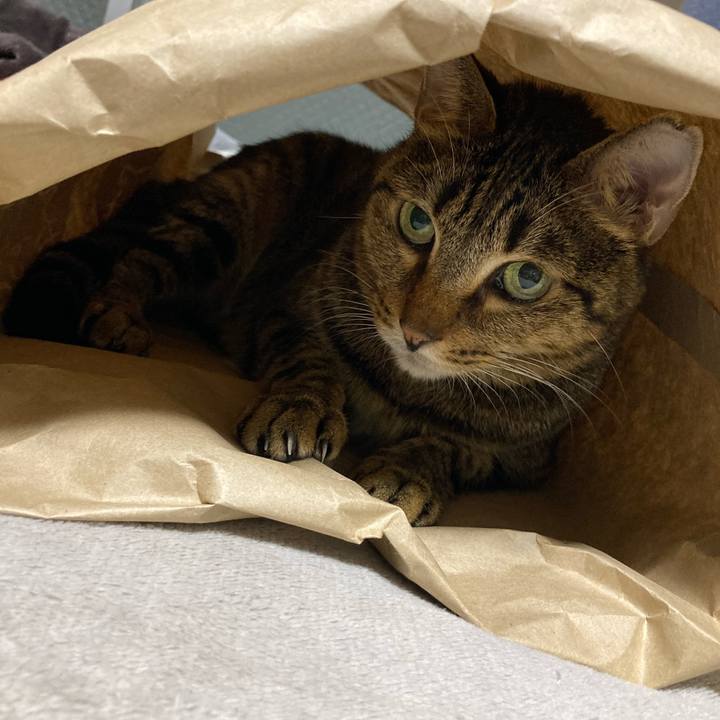 60f636f3 8825 4419 8cb4 6a89b99c7ae5 1701783461002