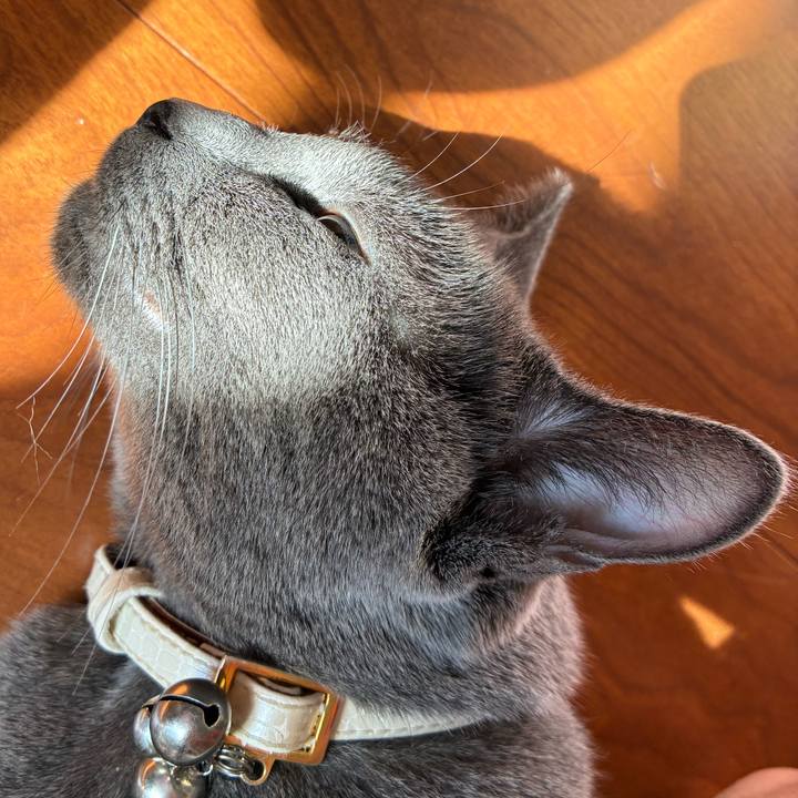 60f68039 2bc1 456a 81ee 8080e3741421 1758371637391