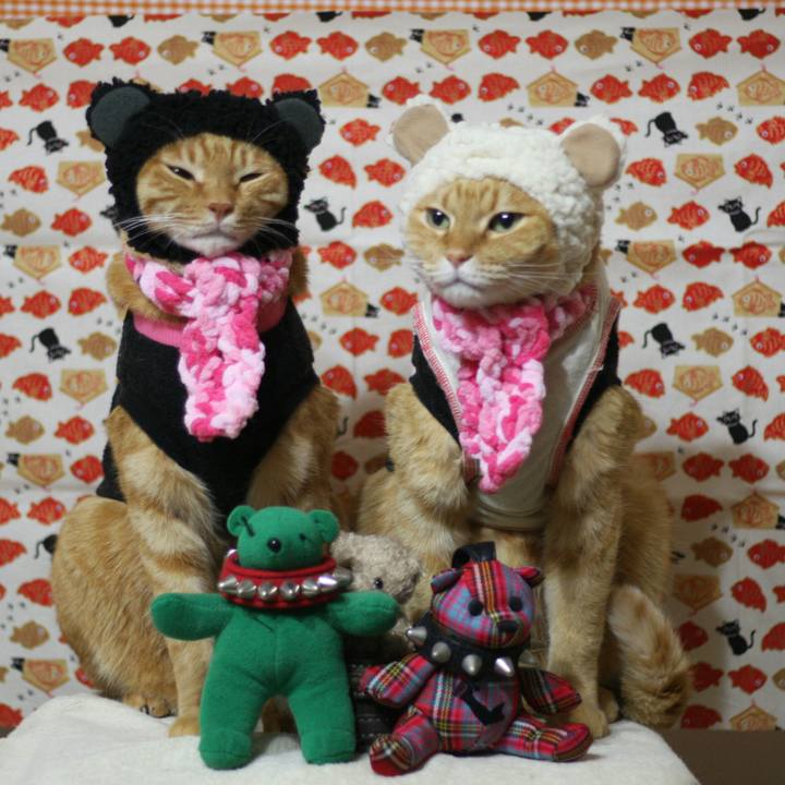 60f6865f dfae 4d18 9625 2e6d42383c2f 1514251937567