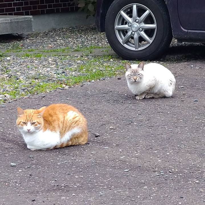 60f6a5c2 4e1e 476b b20b 168cf5459eac 1595664288514