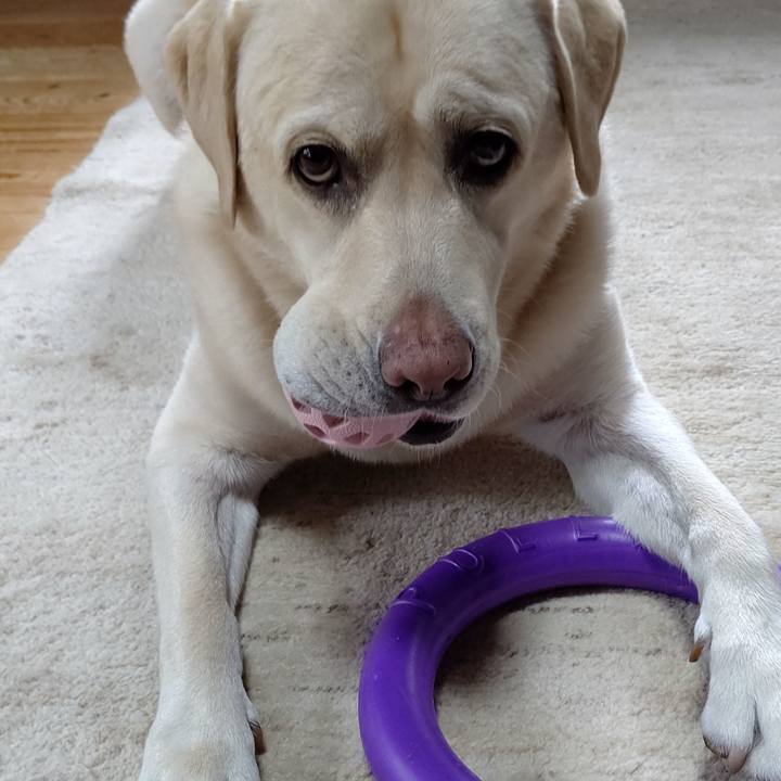 60f6b1a5 9632 4f16 8d96 eeb2c65f37b5 1661823011813