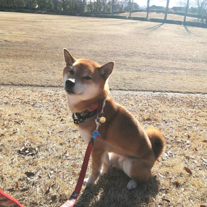 60f6dcf1 2fbb 48c6 9046 bac53f936033 1580430025712