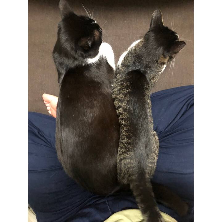 60f6e2d9 e0f9 473e bfe6 a3fadf2eadab 1652501918066