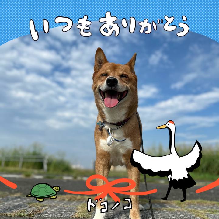 60f6e9f9 0138 4d08 b8fc 3642698dc988 1727258255446