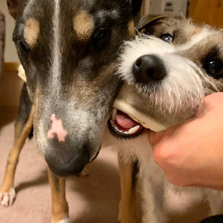 60f74c26 3d76 407c 9105 ebc573d29265 1584452799333