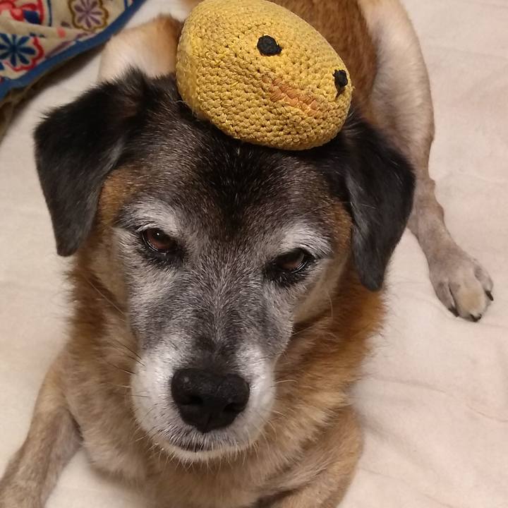 60f754eb 2b08 4773 9c95 91d911b4e908 1574926045528