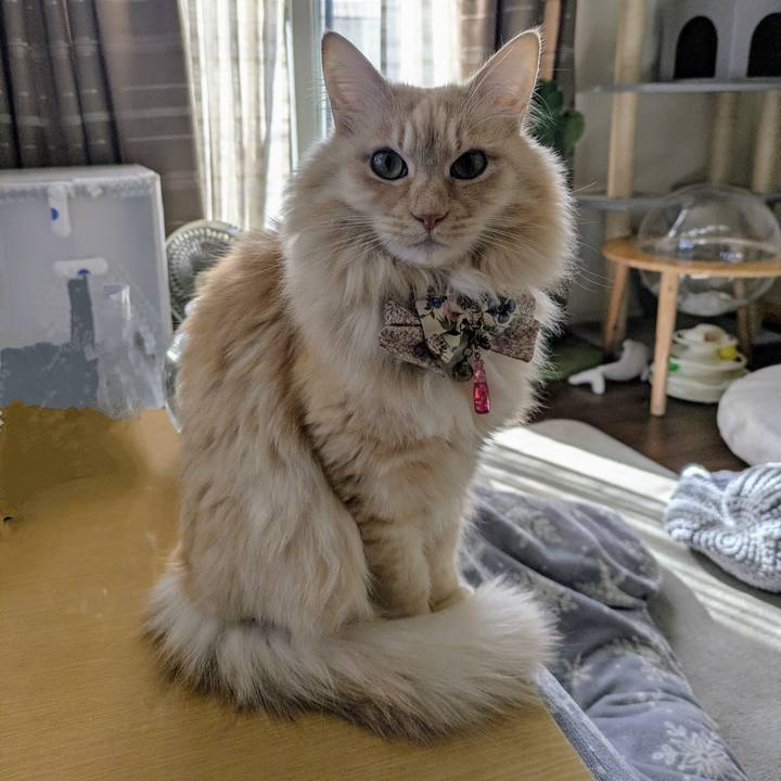 60f7bce3 e58f 4366 a5cf cd3d6574273e 1767666018261