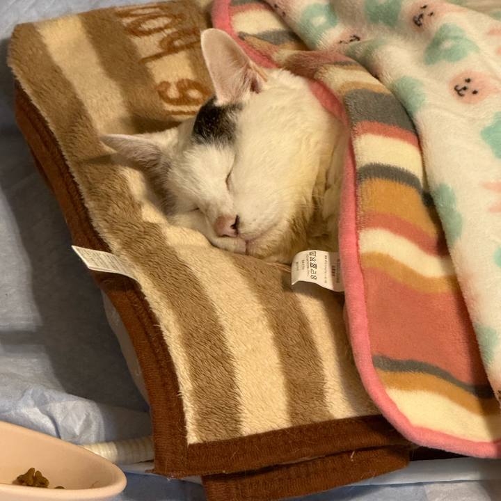 60f7f1b5 488c 4564 8565 1cb8f619af6d 1762691941084