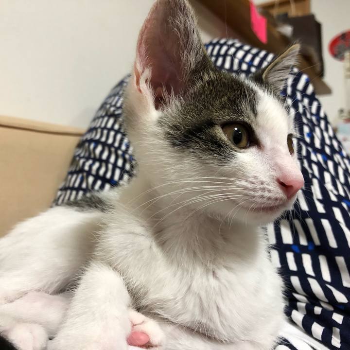 60f82e1c 1bcf 42ff ab2a ea487271025f 1563538340044