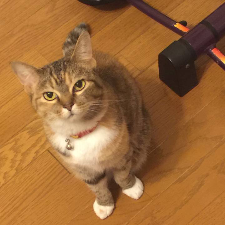 60f847a8 59e0 4512 bd4e 054b812d6594 1561642493614