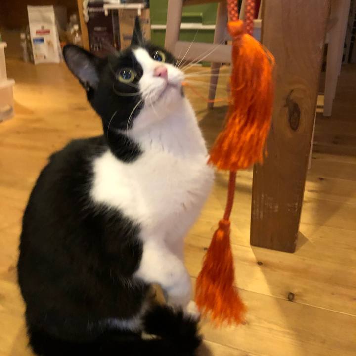 60f85f5e 21d0 41a6 af3d d81cf6a813ee 1519999302257