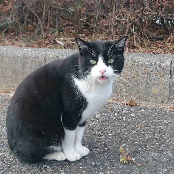 60f88e01 9493 4f3c a7b8 46d767e13b49 1581753353879