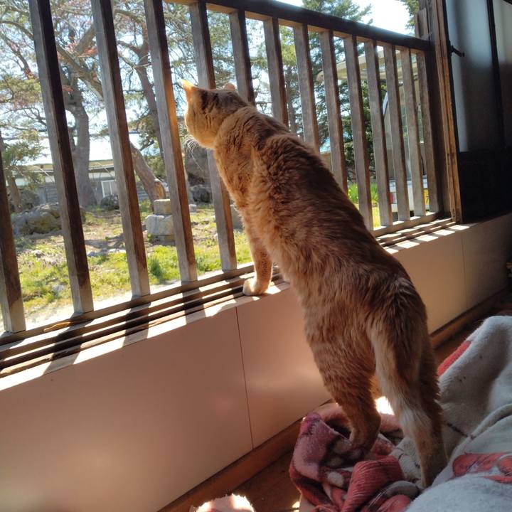 60f89517 6b61 49dc 8020 746f52385b0e 1681880072977