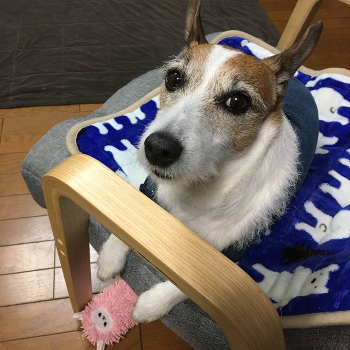 60f899b9 e7aa 492c 8f96 ca488ddef305 1579231661306