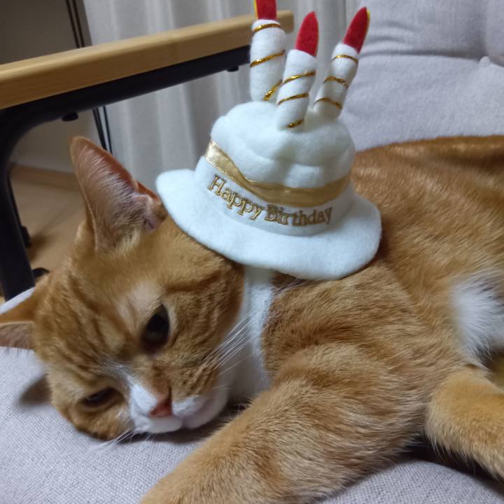 60f8a7a4 7c55 4224 82cd 964d74cdea6c 1765709611614