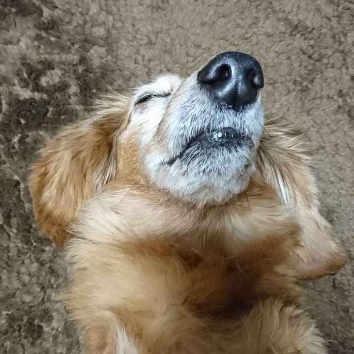 60f8d3a5 6ccd 4b2b 991c d945b62a81b9 1513619777188