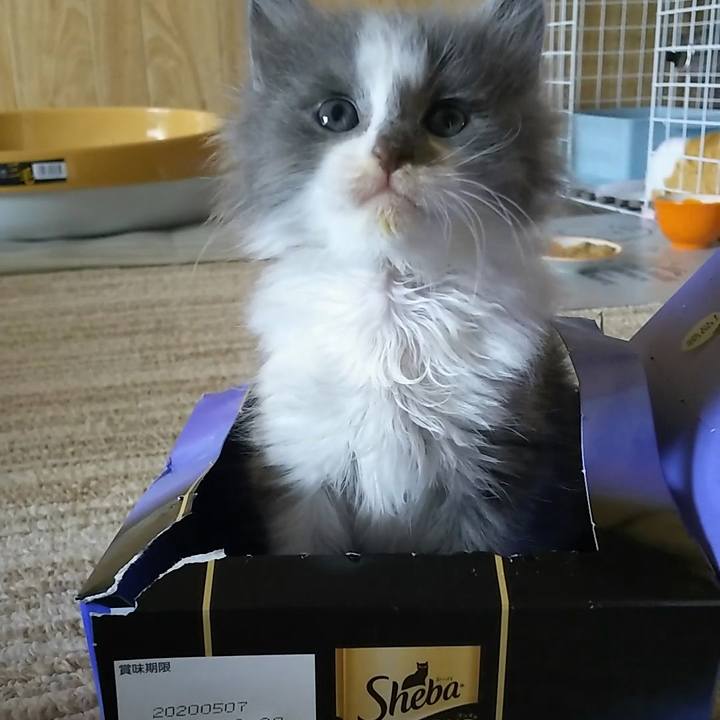 60f8e0ef 14f8 4b6a 8341 871e3de94acd 1558672091100