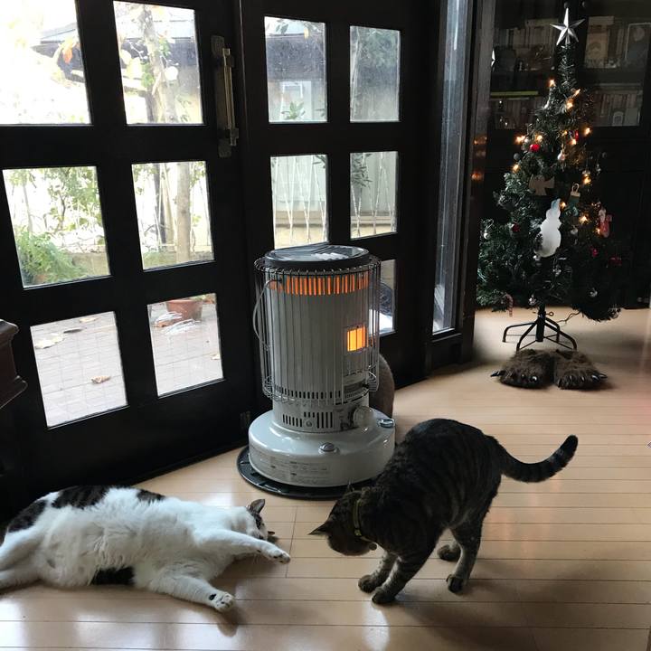 60f8f931 e6b1 41c7 b803 7fa8d2d80dea 1512343744825