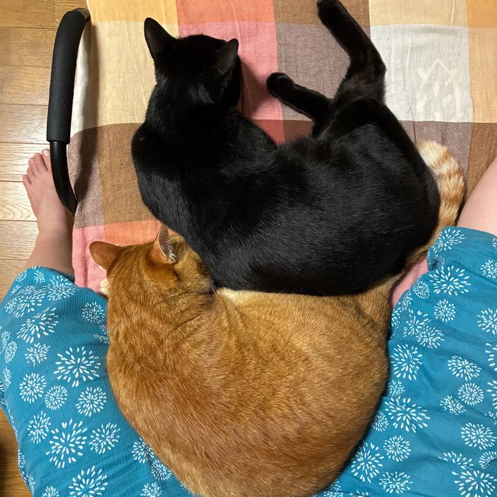 60f90b0f 8445 45de b902 d6bf5d0ff588 1749919516465