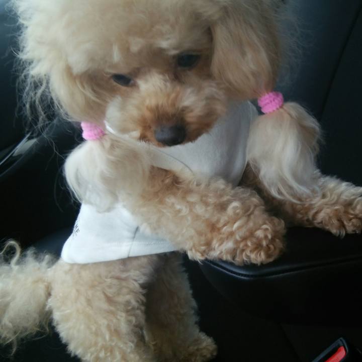 60f9105d 07ff 4c34 9a65 a0bd2989464e 1532258212453