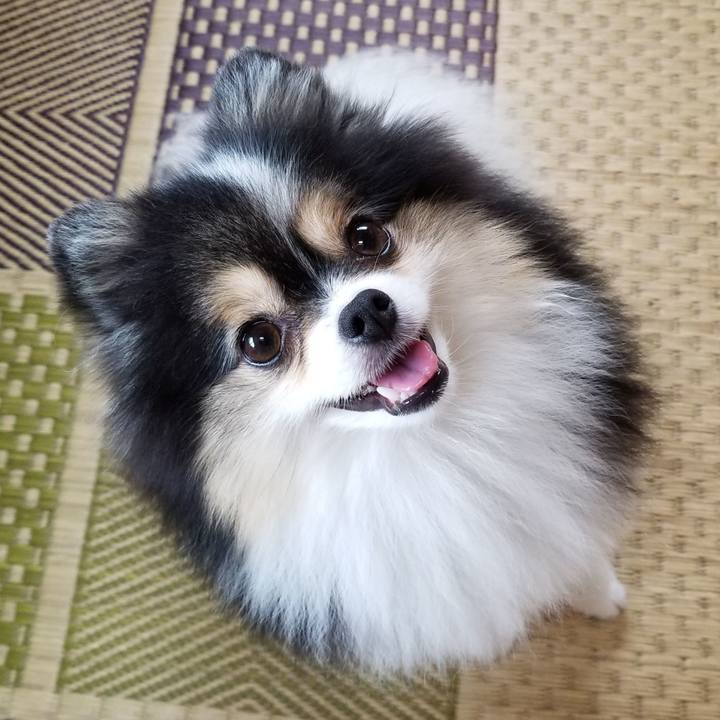 60f94071 a162 45f0 8dab 5d769cd858b6 1567208799015