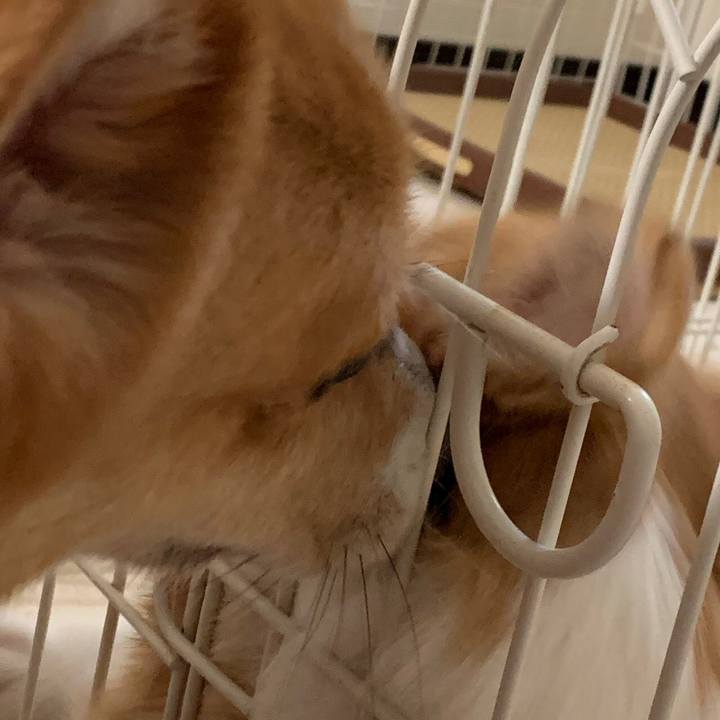 60f9524f 1073 4f0f 9e0f 21e3e10105a8 1563836279378