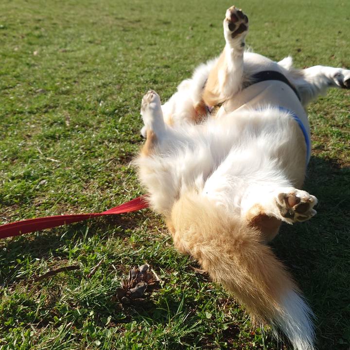 60f9e147 aef7 46c8 89ec 28a54d6e0927 1776123864102