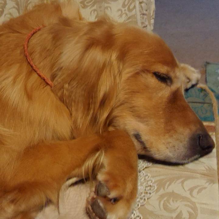 60fa697c 366b 4d1c a180 024fca8d69ad 1569584933656