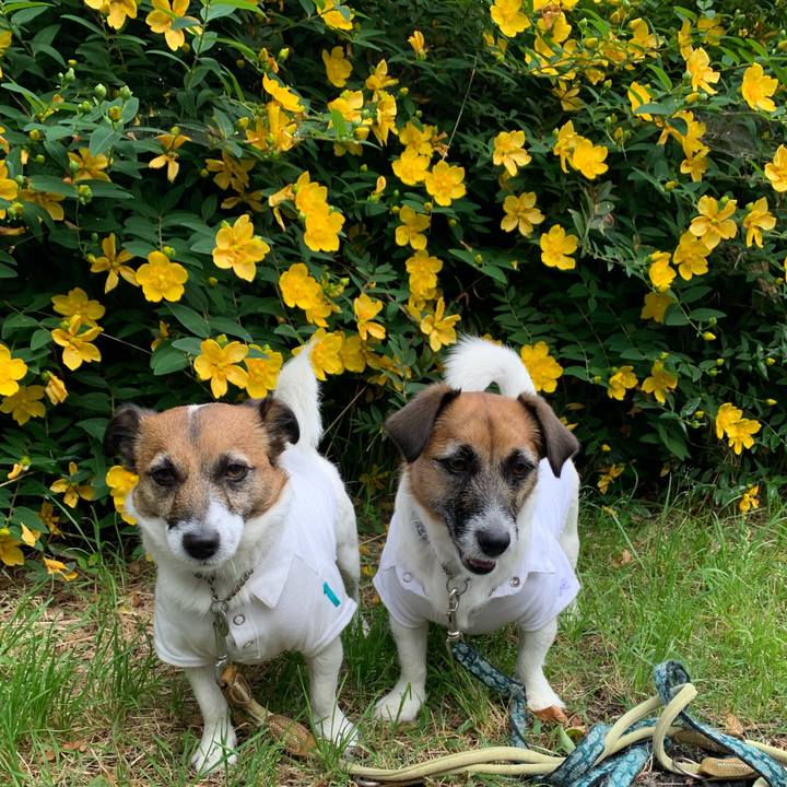 60fa8666 7661 4075 a2cf 863c9d90e05c 1591285609225