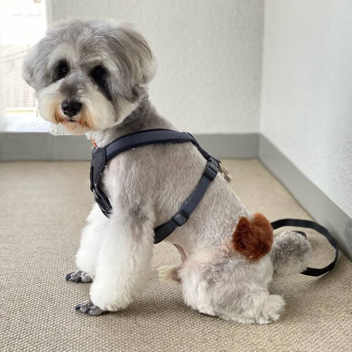 60faa082 9346 4589 b349 f067d347cd10 1648179498455