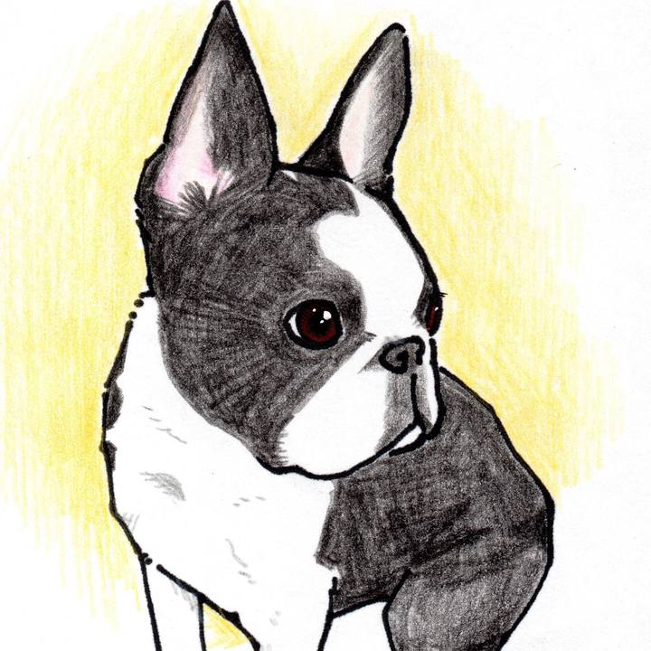 60fab199 1c70 48cb 92ba 27cc18bf007f 1510490335261