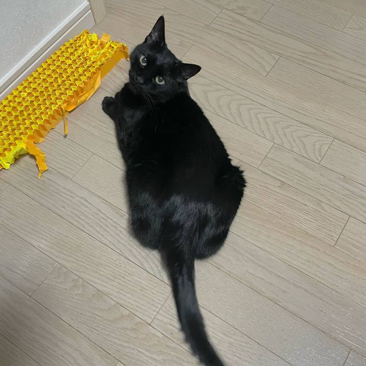 60fab5ff cd87 4008 b50e 09a6e90b2ce2 1742558399549