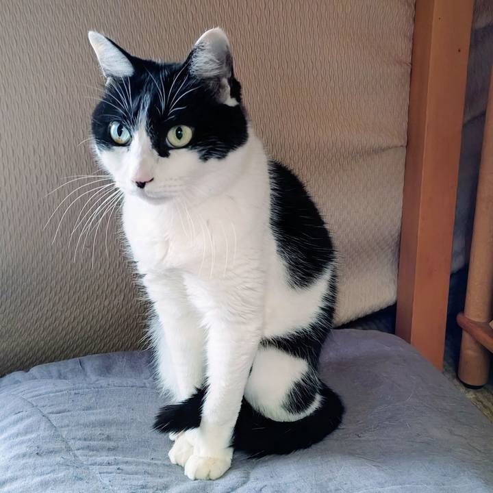 60fac9a6 aca4 4d6a 80f4 3fb261497191 1771224381219