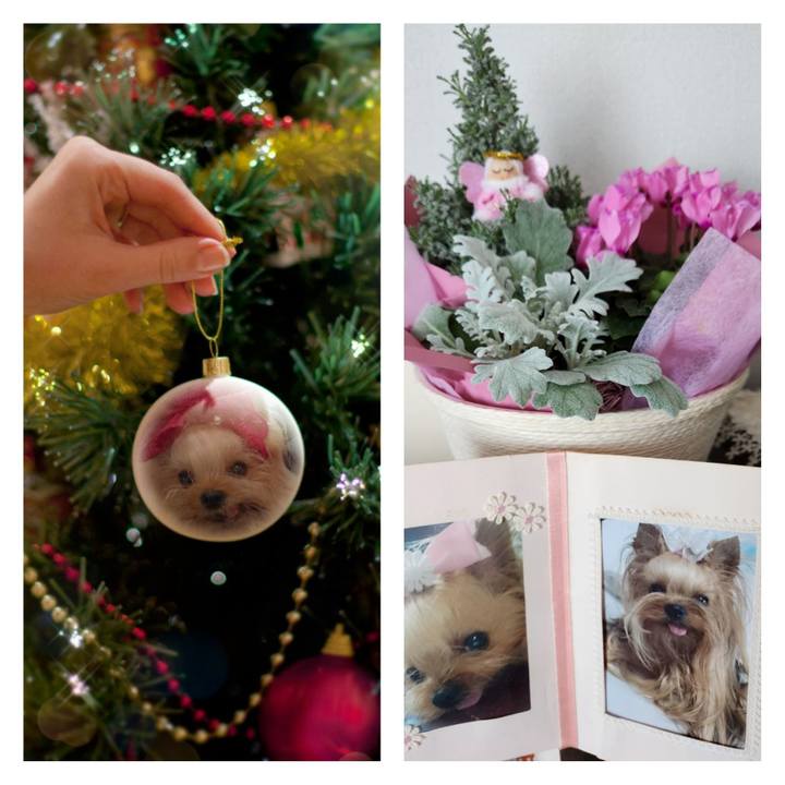 60fadc96 7214 4c24 bd81 11c3f12bfff8 1703466584431