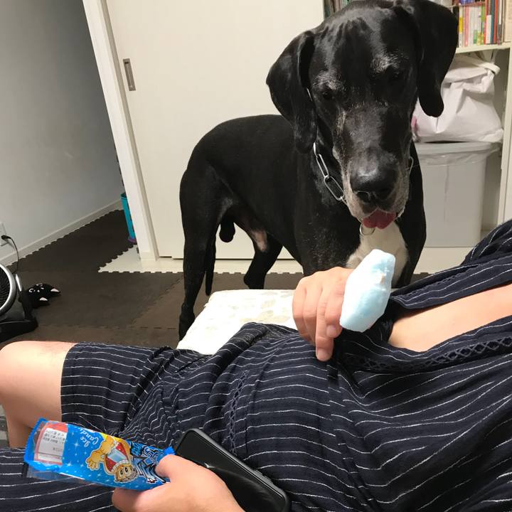 60fae142 d91c 4916 917a 5dc7778bb8f7 1530100111414