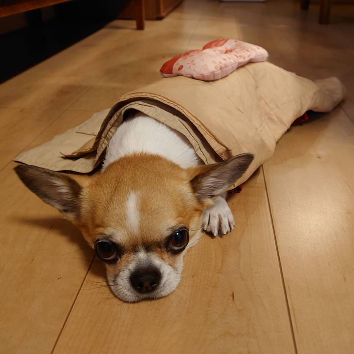 60fb241a 82a3 470b 90bf ebb6a67af977 1703062451560