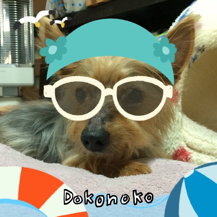 60fb39c4 1675 41dc 8af6 95c188414b54 1723179673742