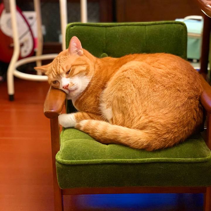 60fb43d6 8467 4374 bd8c f08517053892 1570934524706