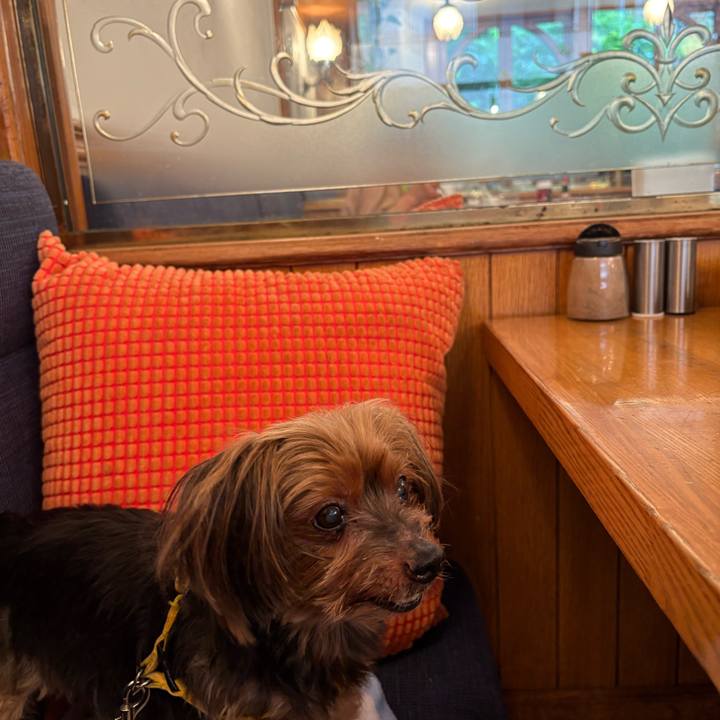 60fb6912 c6c3 4008 aa9e 8a81536b837a 1729066735303