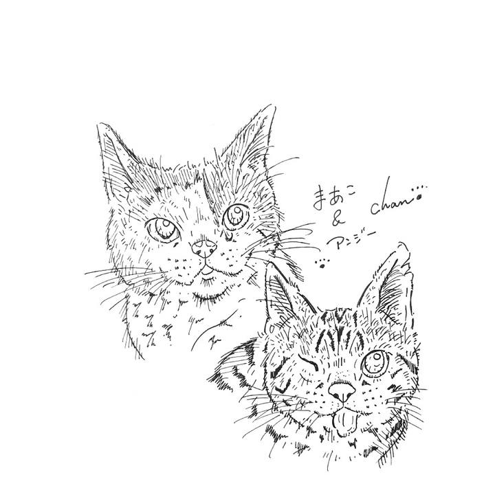 60fba11f 9481 448a 9704 be2f587f7d15 1582036369946