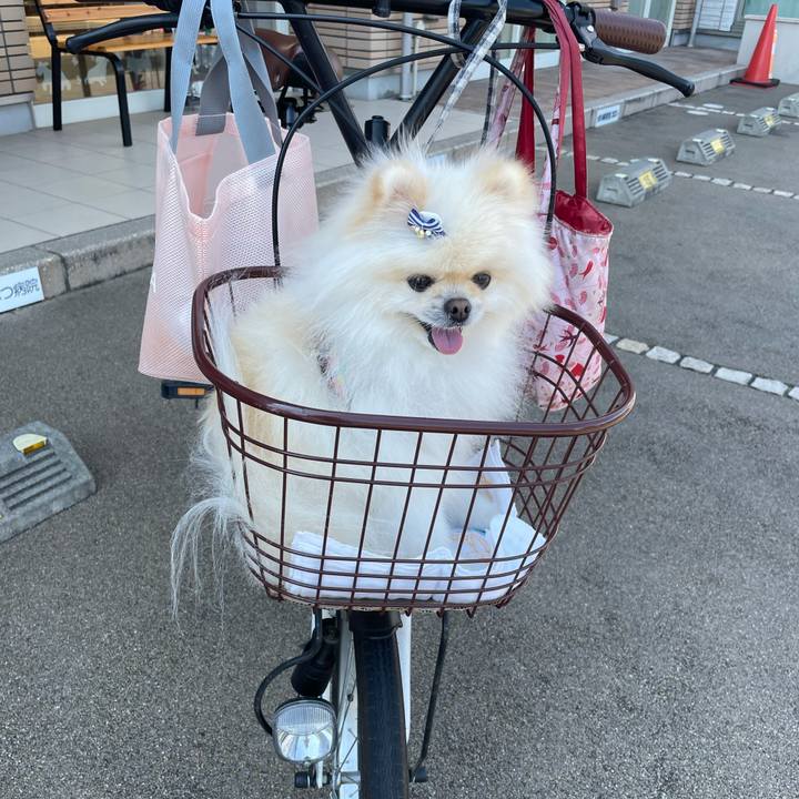 60fba46e 8945 47f2 b597 366ac8b61ecb 1626673318347