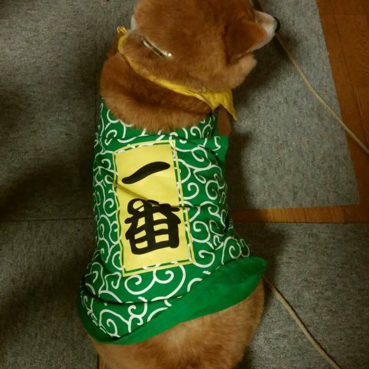 60fbf489 8ce0 45e3 99cf f7aacd9b5afe 1518214000060