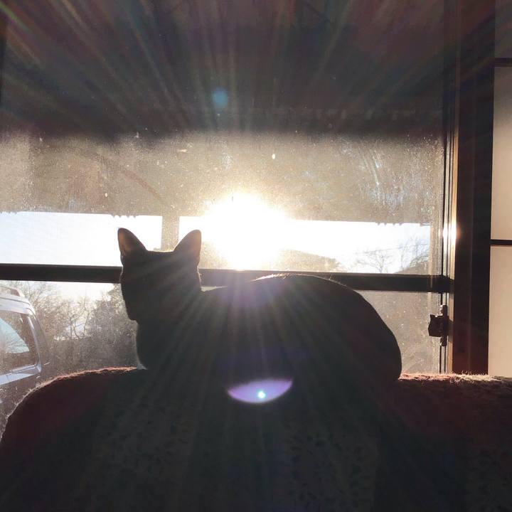 60fc0b60 8892 48d6 8170 8136d053a320 1584435788911