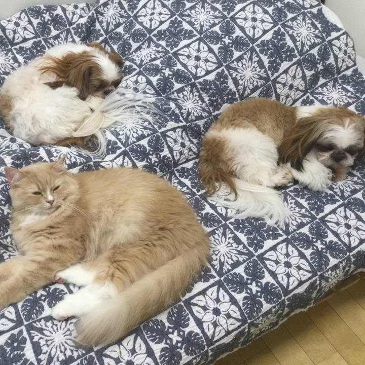 60fd3526 c82b 455e 9079 490479254c27 1640584265185