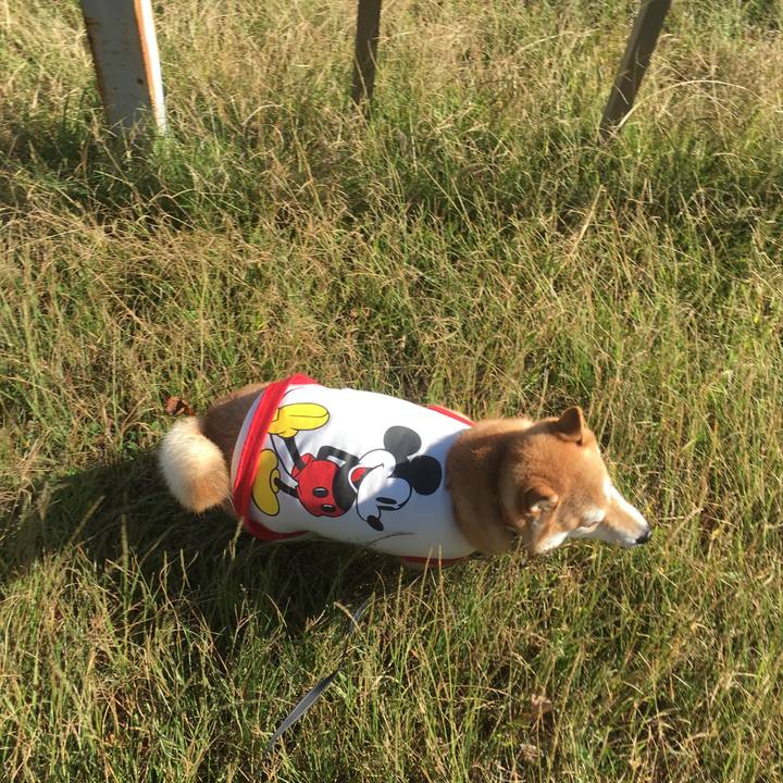 60fd8072 1561 40c2 8145 29746bdcac43 1540081877719