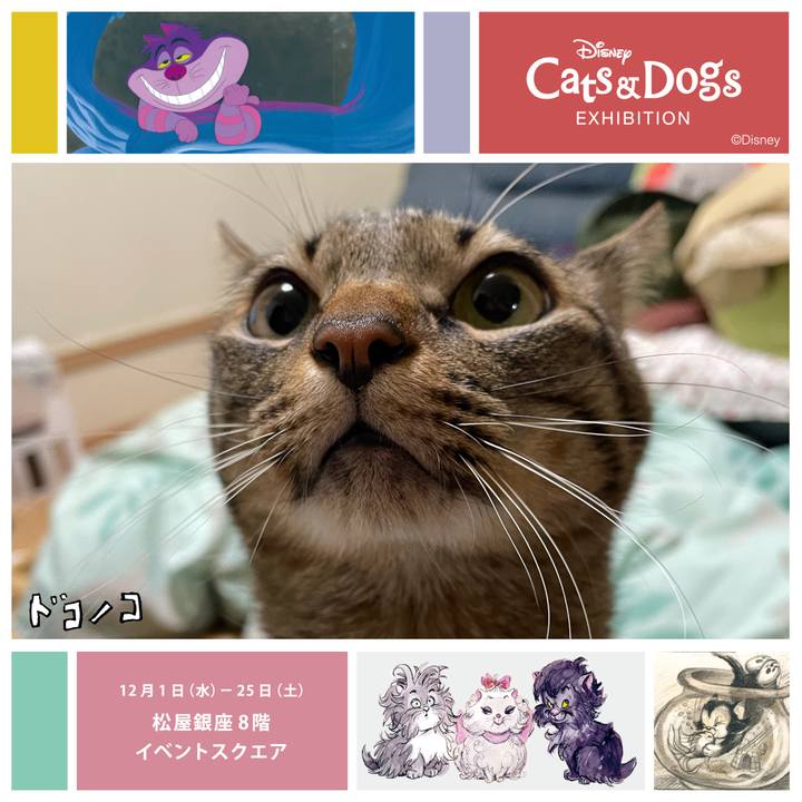 60fdb56e 38ff 4e0f 8c62 5d46c8cab028 1638364128554