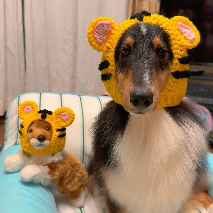 60fdcc0a 71f5 45dd a8db 366d3338d3a8 1757261969327