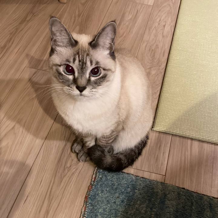 60fdfcb2 ea5d 4704 a690 093c1ddc708e 1733837532819