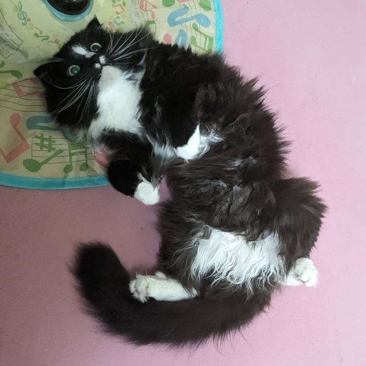 60fe173b 16fa 4aa1 912b 76d2ec6642ba 1712578869743